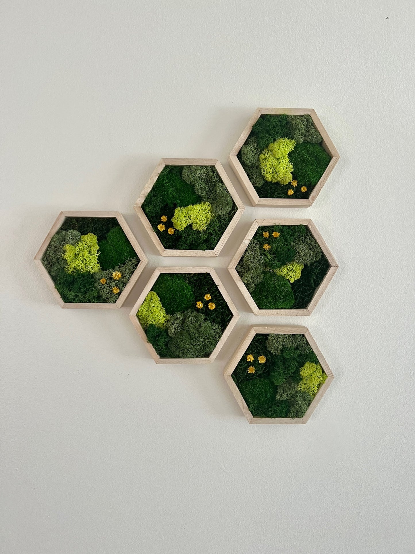 Shades of Green & Yellow Flowers - Hexagon - Reindeer, Pole & Sheet Moss - Maple