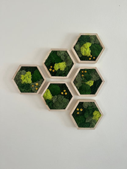 Shades of Green & Yellow Flowers - Hexagon - Reindeer, Pole & Sheet Moss - Maple