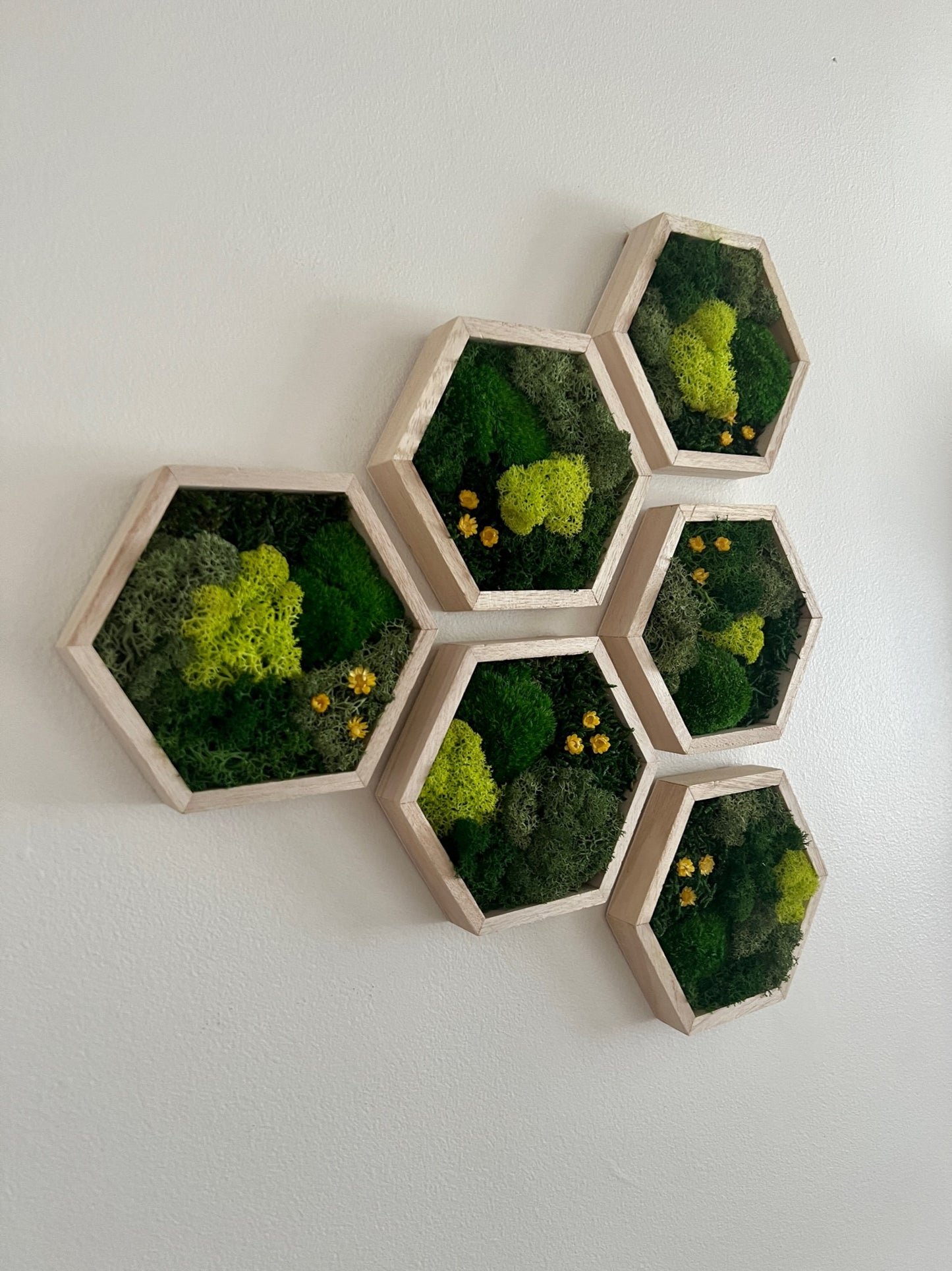 Shades of Green & Yellow Flowers - Hexagon - Reindeer, Pole & Sheet Moss - Maple