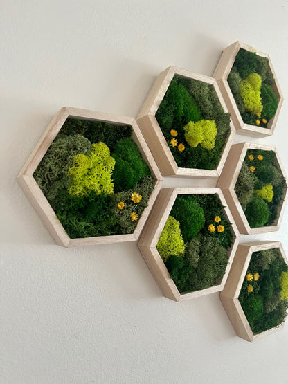 Shades of Green & Yellow Flowers - Hexagon - Reindeer, Pole & Sheet Moss - Maple