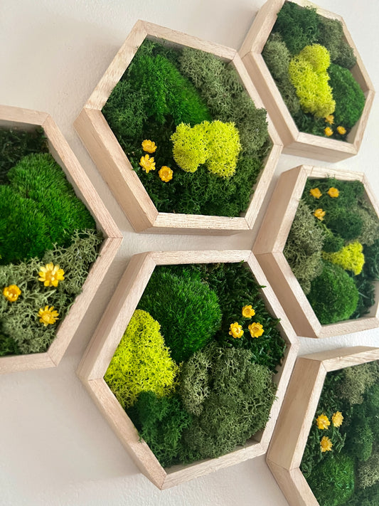 Shades of Green & Yellow Flowers - Hexagon - Reindeer, Pole & Sheet Moss - Maple