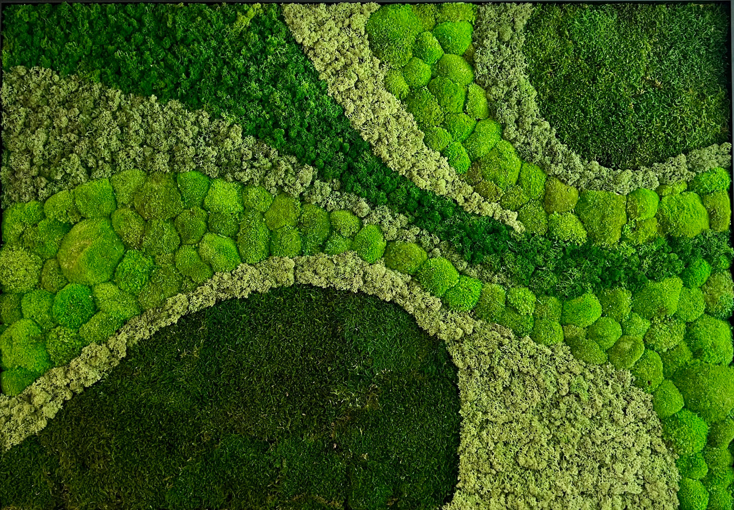 Moss Wall Art - Large Moss Wall Decor - Inverse Hills