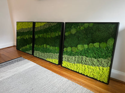 Moss Wall Art - Large Moss Wall Decor - Set of Three - Continuous Hillside