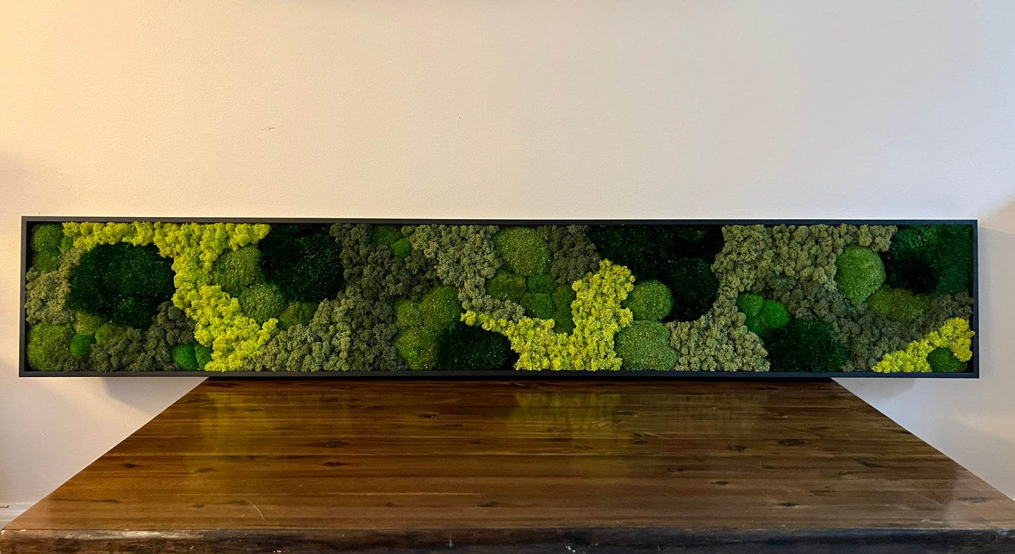 Moss Wall Art - Large Moss Wall Decor - Parkside Greens