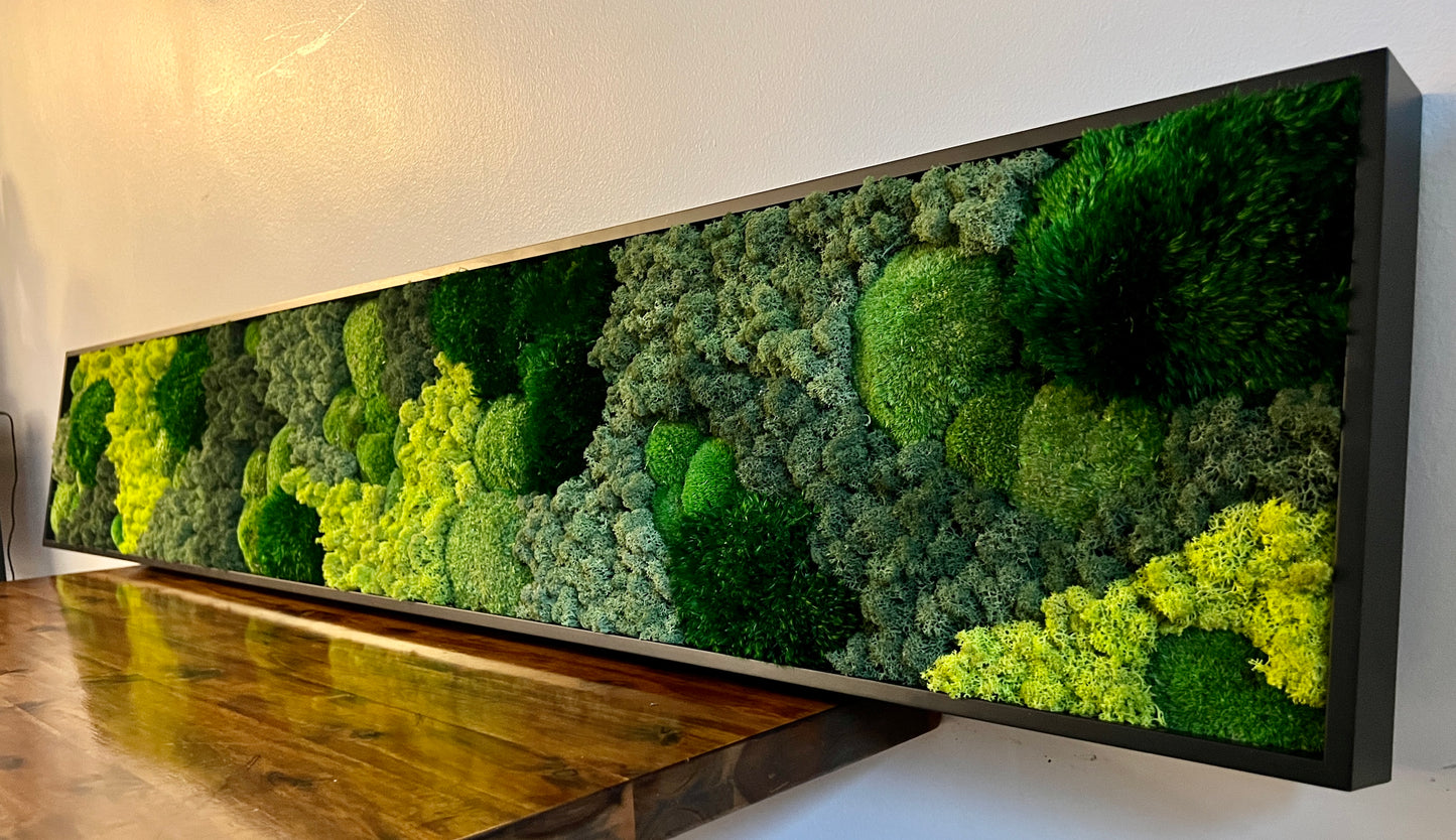 Moss Wall Art - Large Moss Wall Decor - Parkside Greens