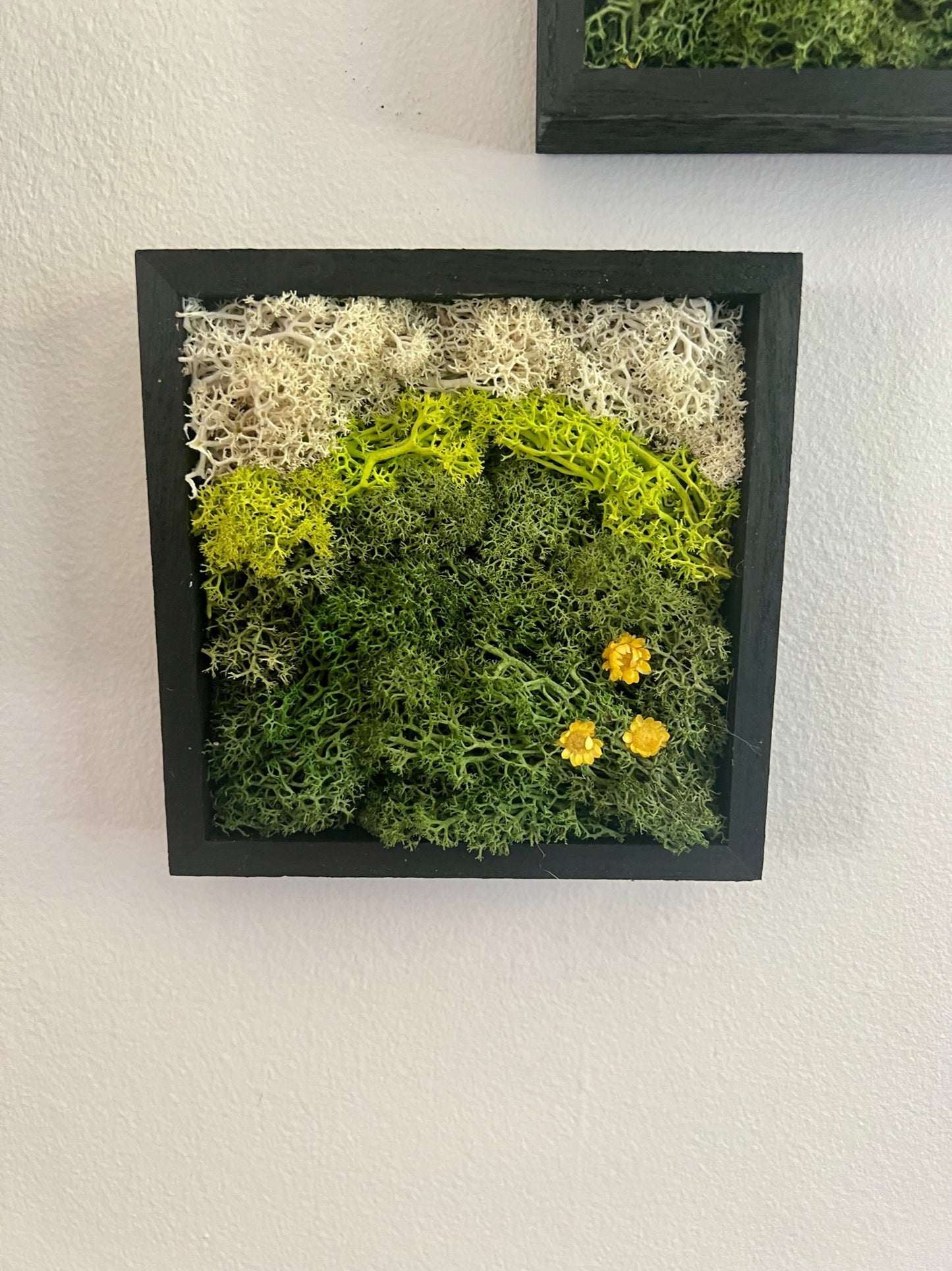 Meadow - Square - Green & Yellow Flowers - Black