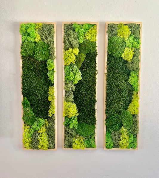 Long Rectangle Preserved Moss Decor - 18" by 5" - Pole & Reindeer Moss