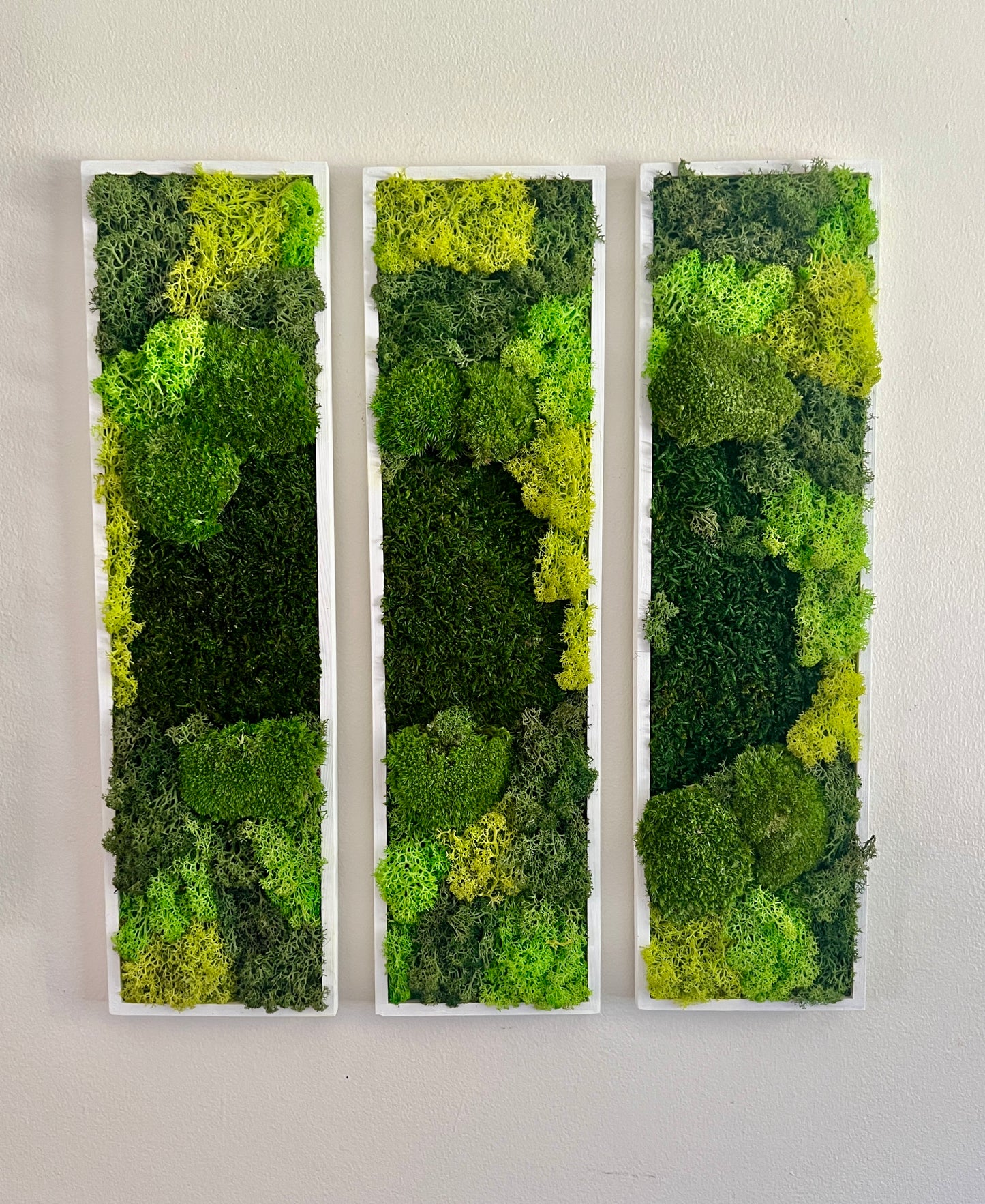 Long Rectangle Preserved Moss Decor - 18" by 5" - Pole & Reindeer Moss