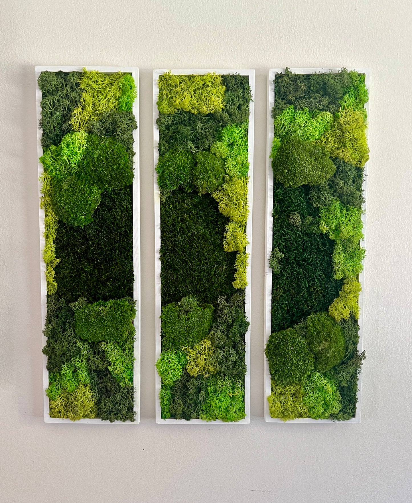 Long Rectangle Preserved Moss Decor - 18" by 5" - Pole & Reindeer Moss