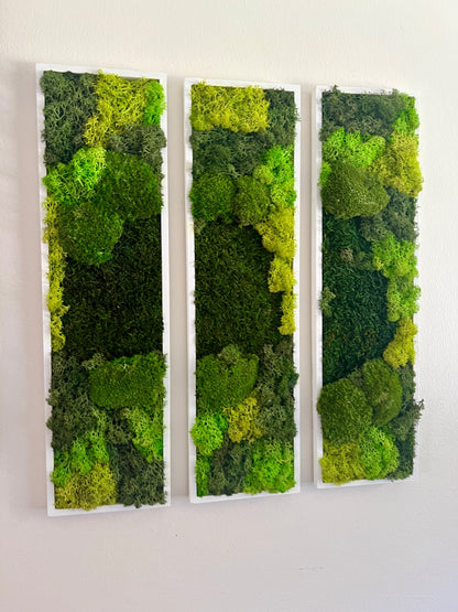 Long Rectangle Preserved Moss Decor - 18" by 5" - Pole & Reindeer Moss