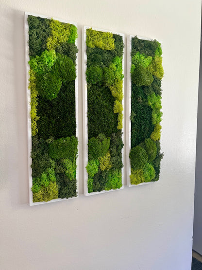 Long Rectangle Preserved Moss Decor - 18" by 5" - Pole & Reindeer Moss