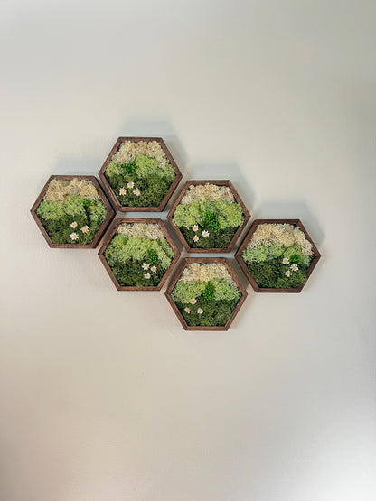 Meadow - Hexagon - Dark Green, Mint & White