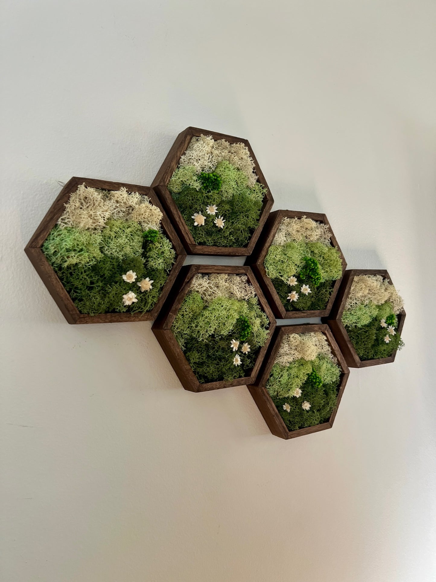 Meadow - Hexagon - Dark Green, Mint & White