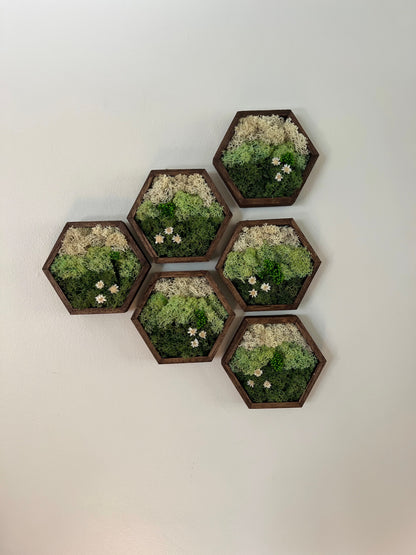 Meadow - Hexagon - Dark Green, Mint & White