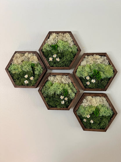 Meadow - Hexagon - Dark Green, Mint & White