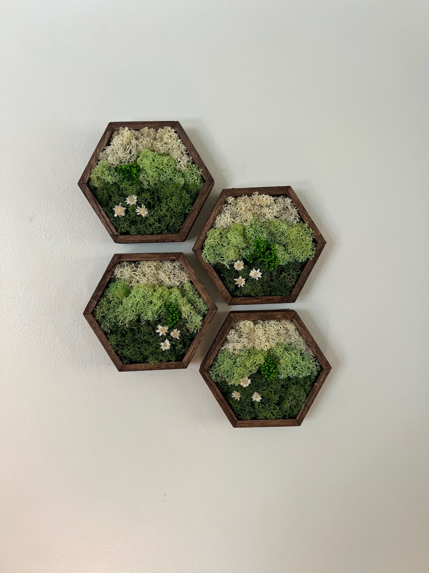 Meadow - Hexagon - Dark Green, Mint & White