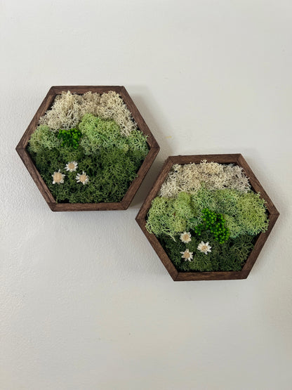 Meadow - Hexagon - Dark Green, Mint & White