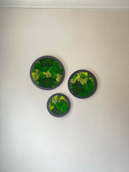 Circle Trio - Shades of Green - Black Frame