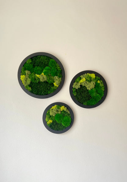 Circle Trio - Shades of Green - Black Frame