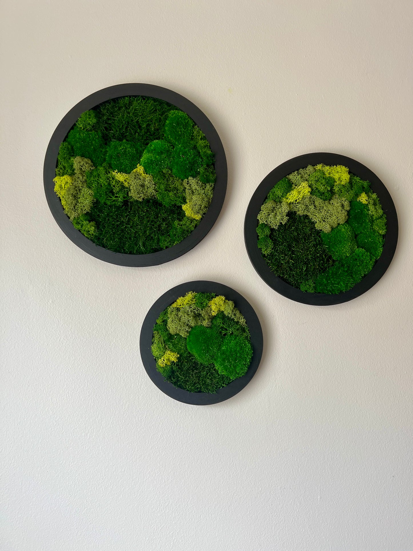 Circle Trio - Shades of Green - Black Frame