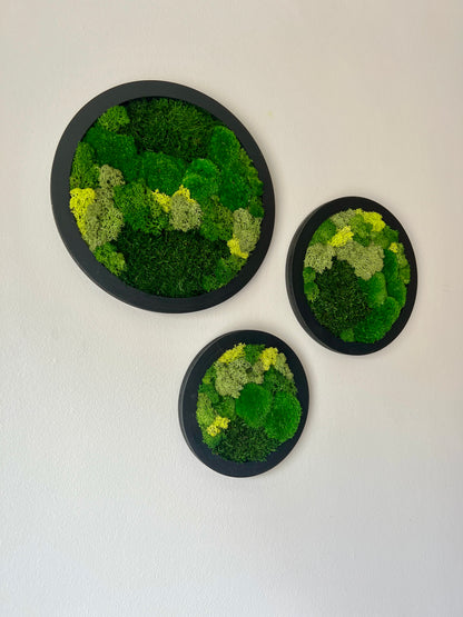 Circle Trio - Shades of Green - Black Frame