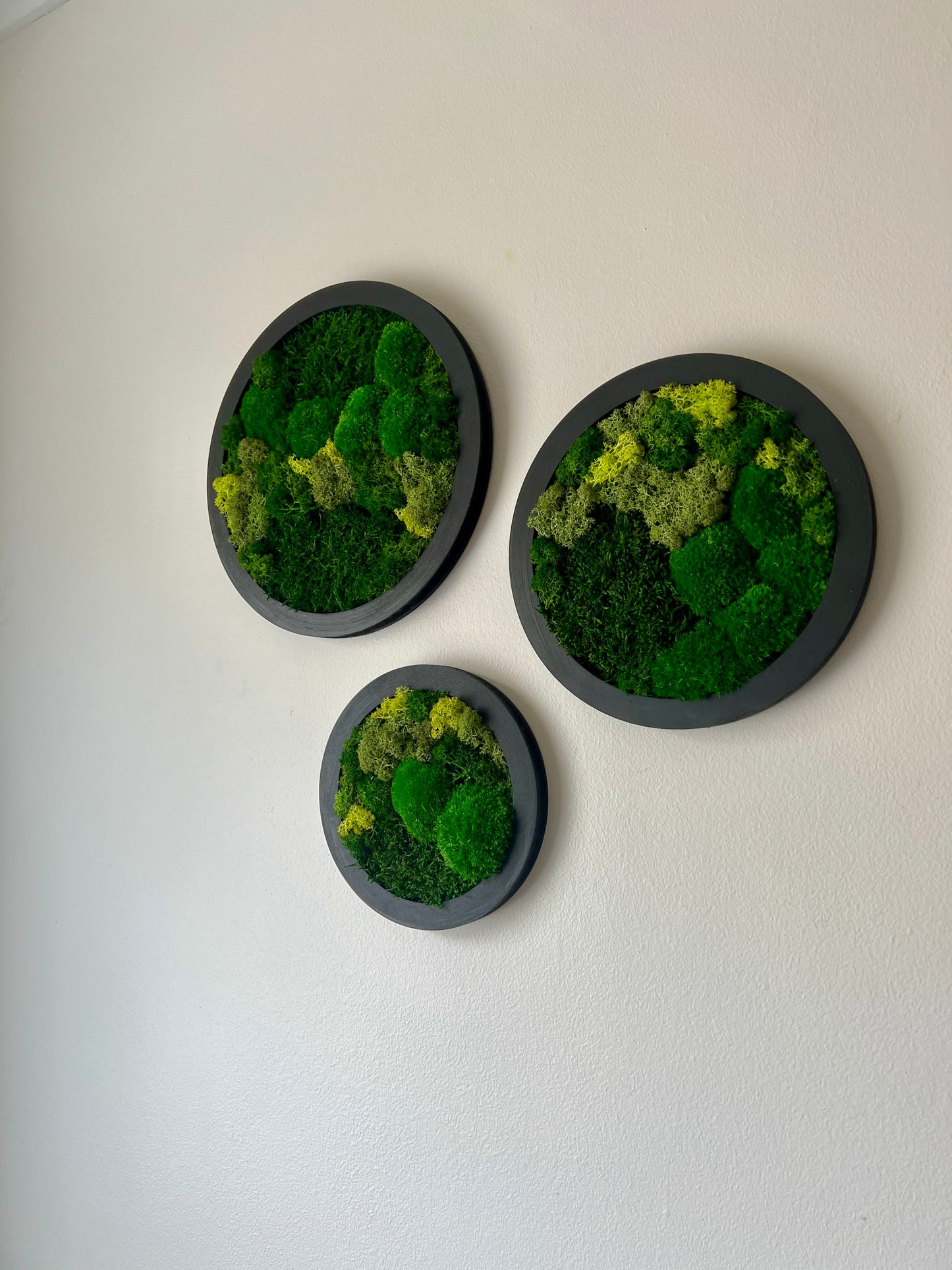 Circle Trio - Shades of Green - Black Frame