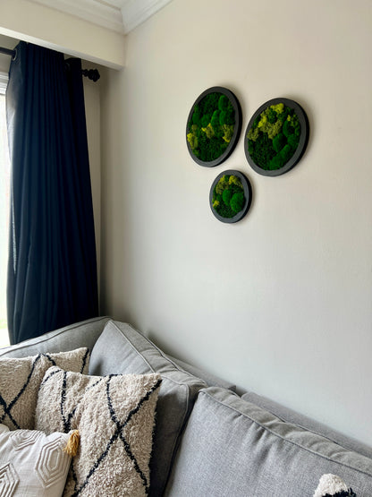 Circle Trio - Shades of Green - Black Frame