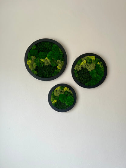 Circle Trio - Shades of Green - Black Frame