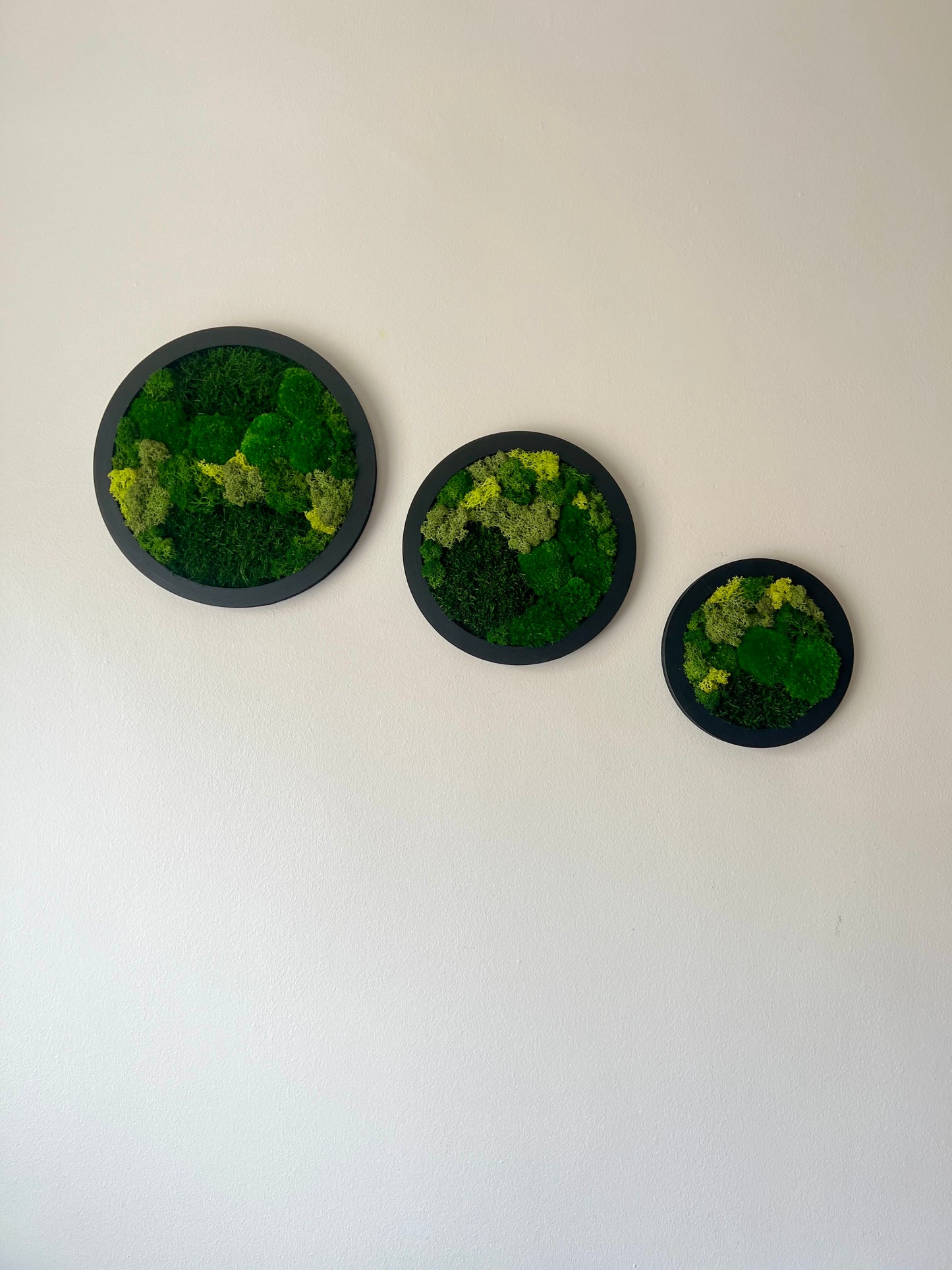 Circle Trio - Shades of Green - Black Frame