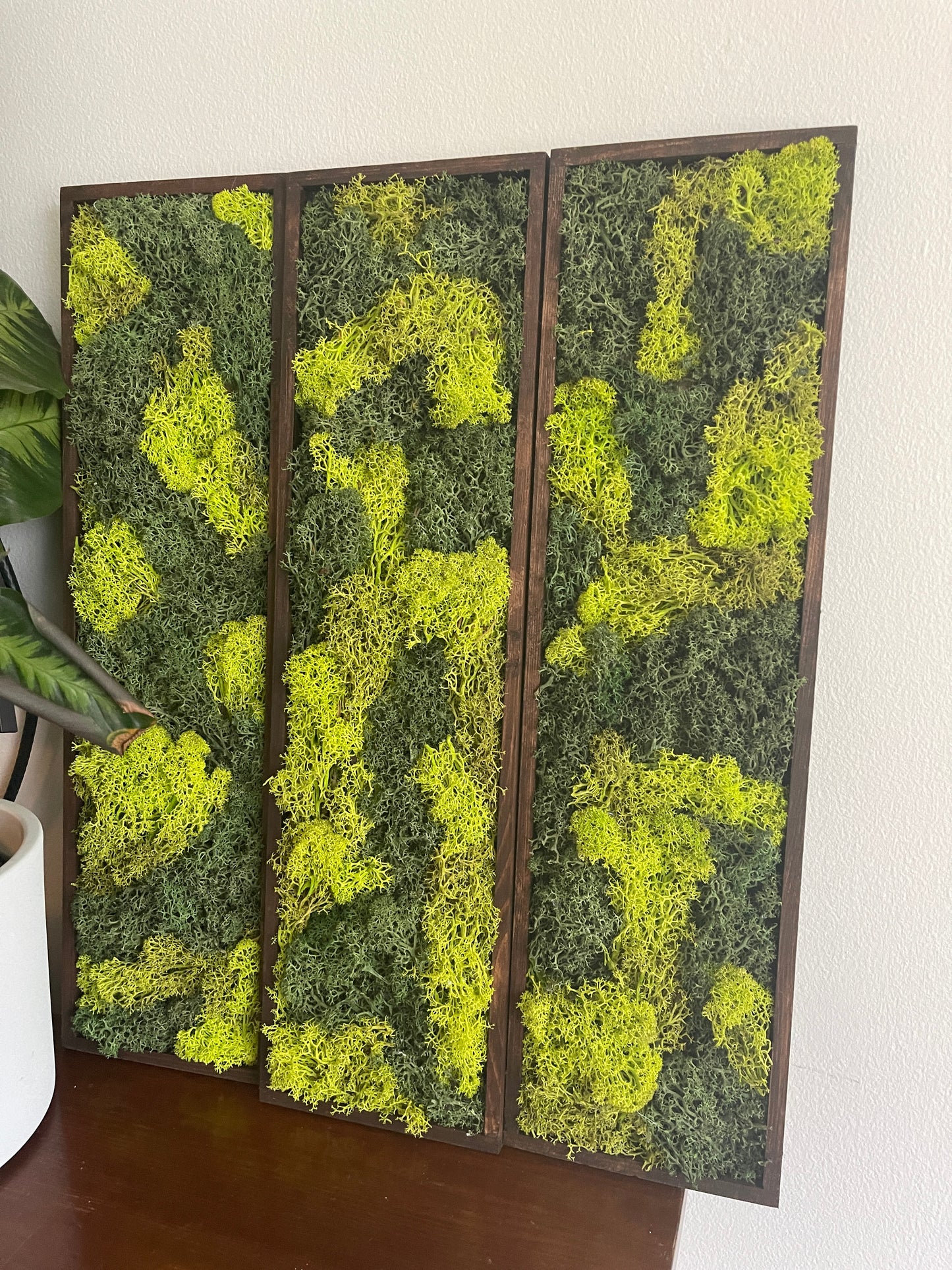 Long Rectangle Preserved Moss Decor - 18" by 5" - Reindeer Moss