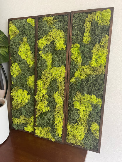 Long Rectangle Preserved Moss Decor - 18" by 5" - Reindeer Moss