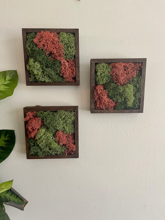 Green & Sienna - Square - Reindeer Moss Collection