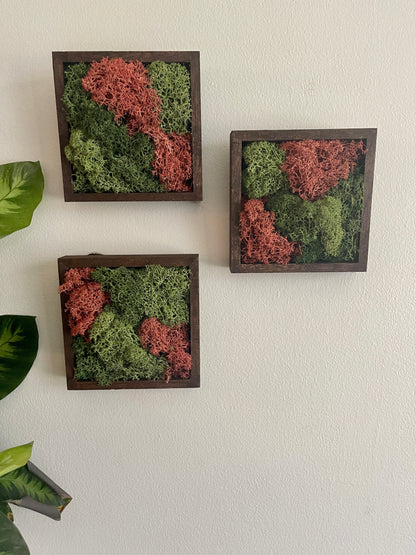 Green & Sienna - Square - Reindeer Moss Collection