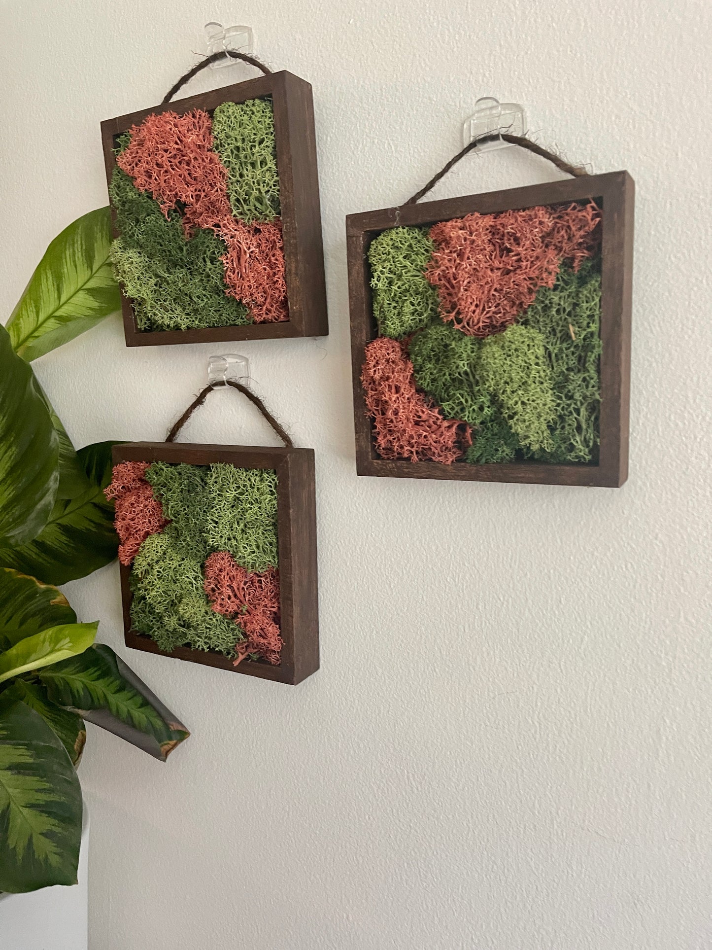 Green & Sienna - Square - Reindeer Moss Collection