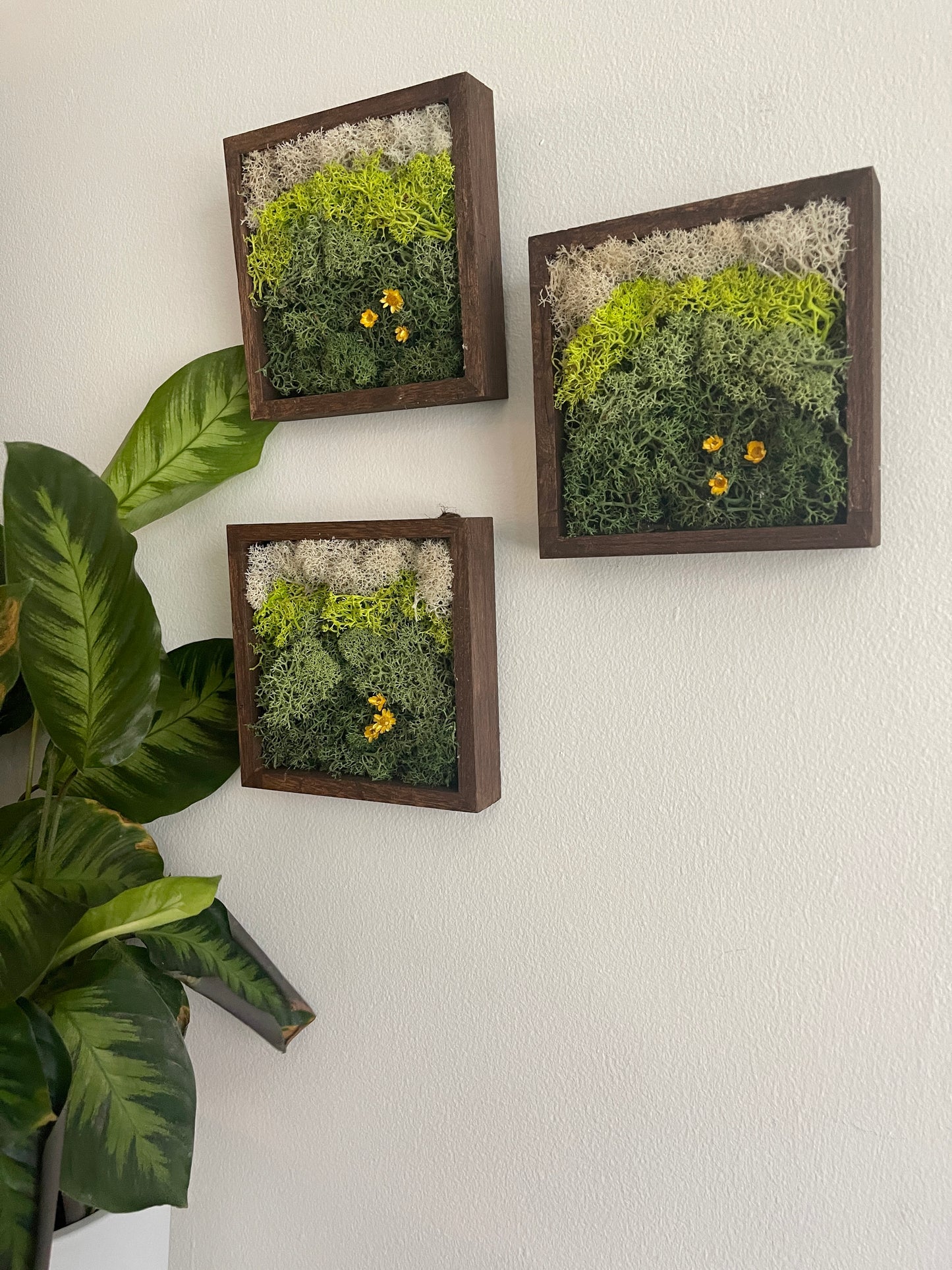 Meadow - Square - Green & Yellow Flowers