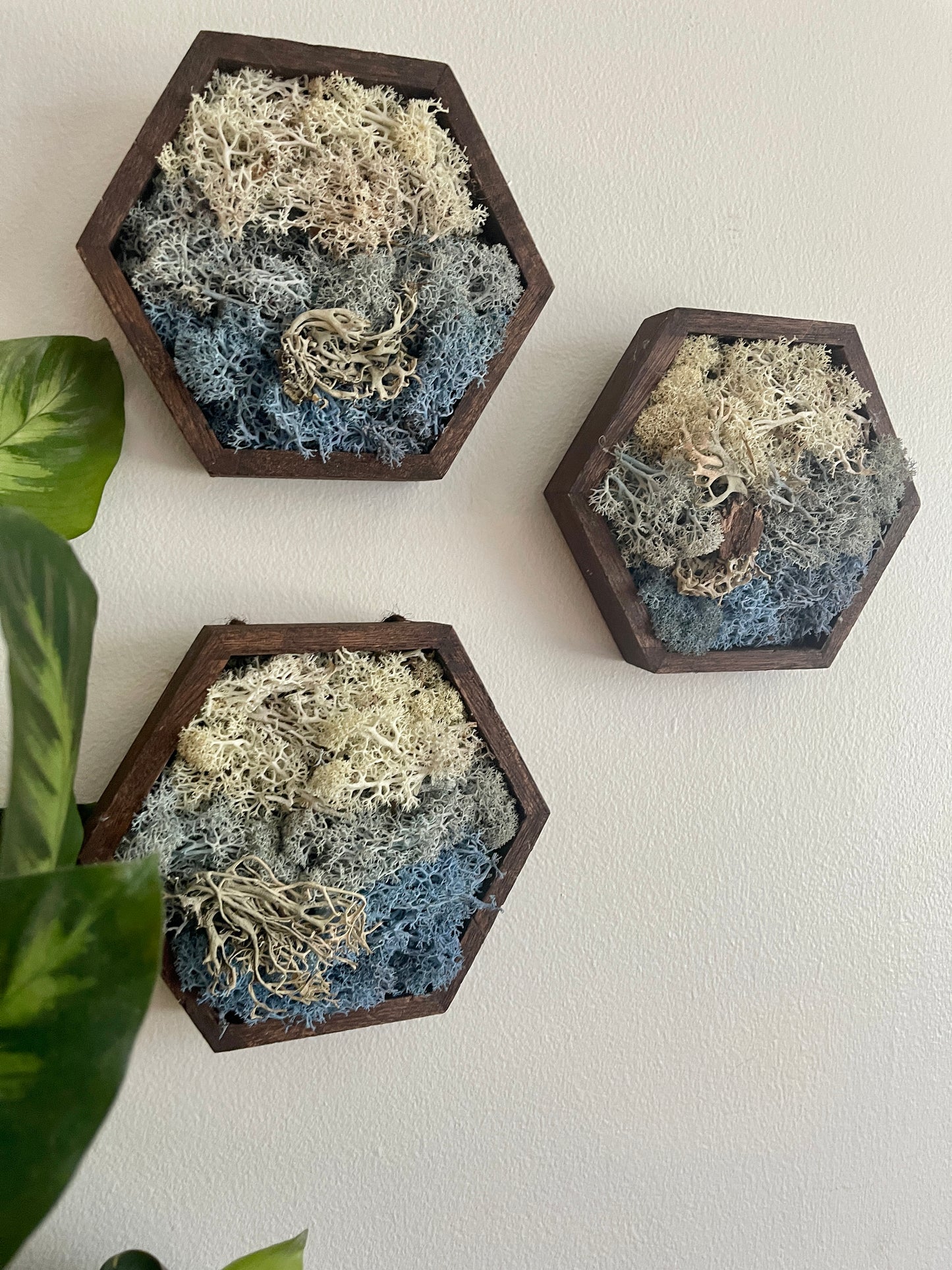 Ice, Snow & Water - 5" by 6" Hexagon - White, Light Blue, Dark Blue & Bark