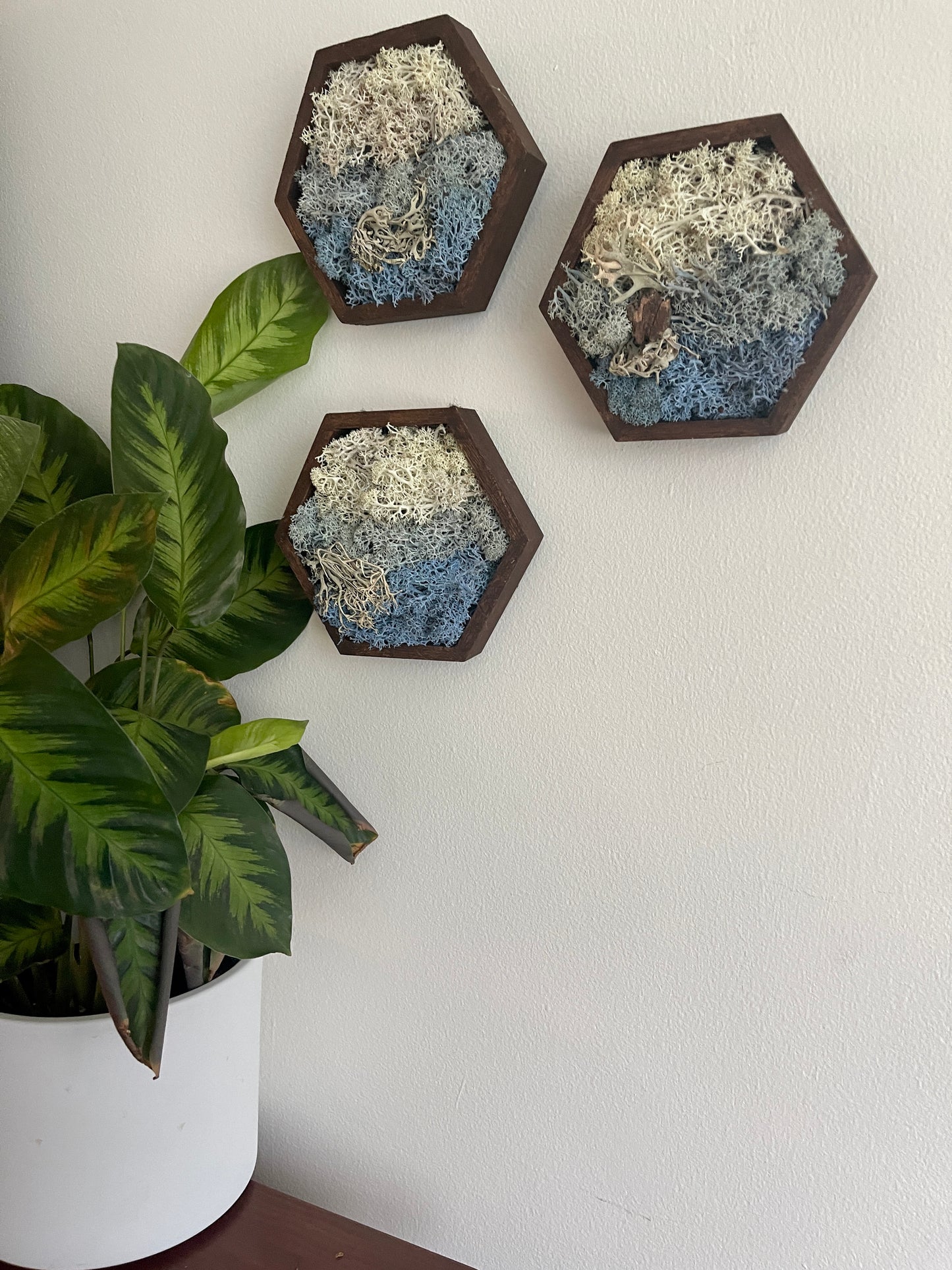 Ice, Snow & Water - 5" by 6" Hexagon - White, Light Blue, Dark Blue & Bark