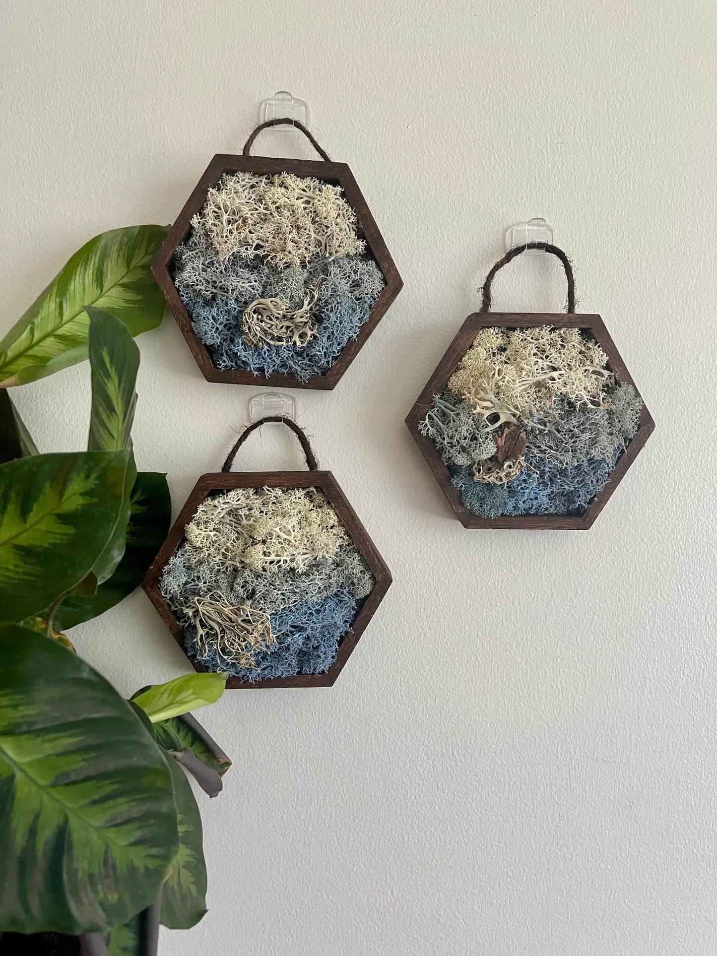 Ice, Snow & Water - 5" by 6" Hexagon - White, Light Blue, Dark Blue & Bark