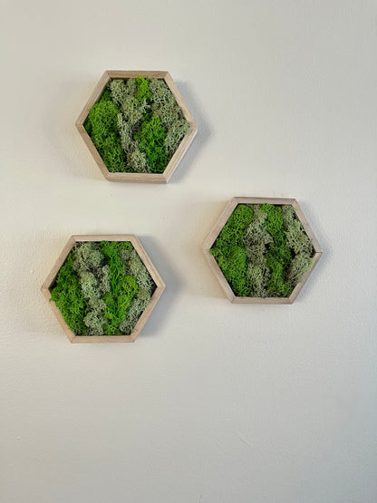 Grass and Mint Green - 5" by 6" - Hexagon - Reindeer Moss Collection