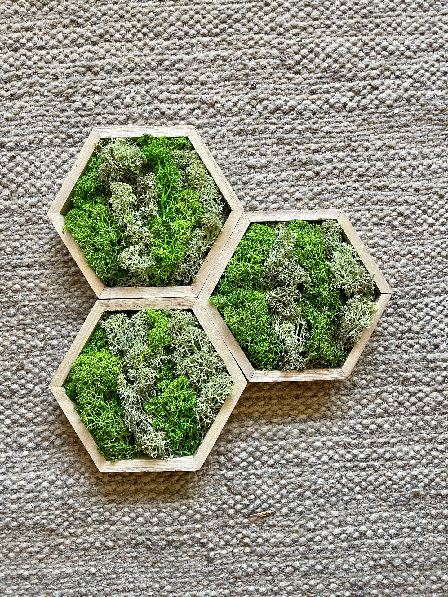 Grass and Mint Green - 5" by 6" - Hexagon - Reindeer Moss Collection