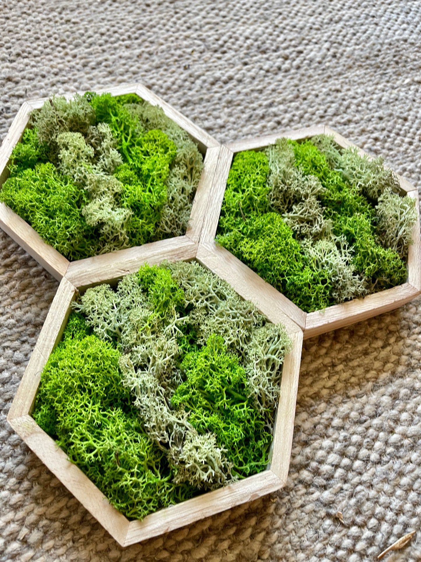 Grass and Mint Green - 5" by 6" - Hexagon - Reindeer Moss Collection