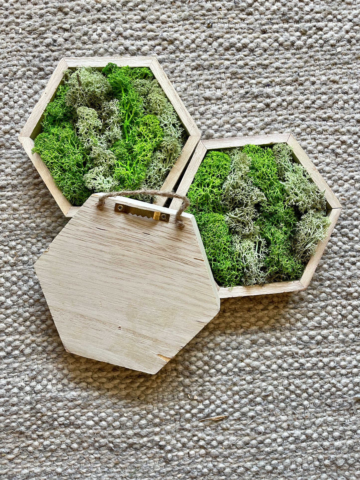 Grass and Mint Green - 5" by 6" - Hexagon - Reindeer Moss Collection