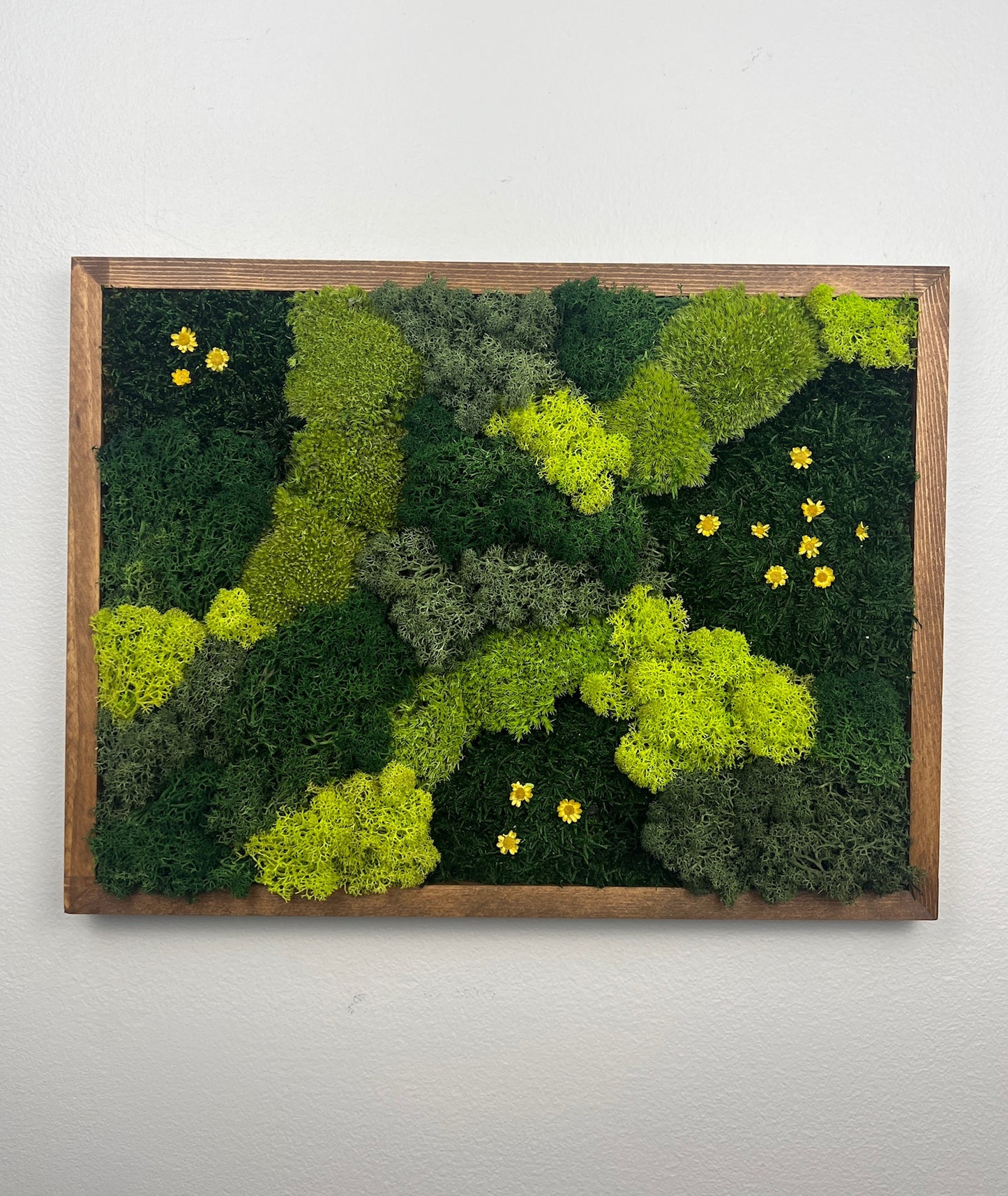 Fields of Green - Moss Wall Art Rectangle Wood Frame - Dark Green, Medium Green, Spring Green & Sheet Moss