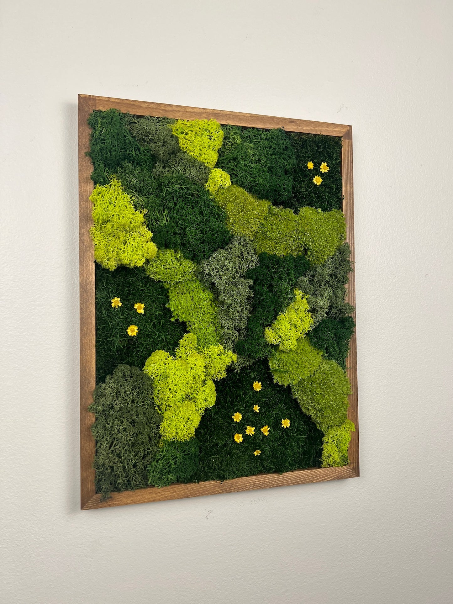 Fields of Green - Moss Wall Art Rectangle Wood Frame - Dark Green, Medium Green, Spring Green & Sheet Moss