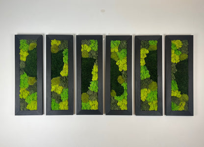 Large Rectangle Preserved Moss Decor - Shades of Green