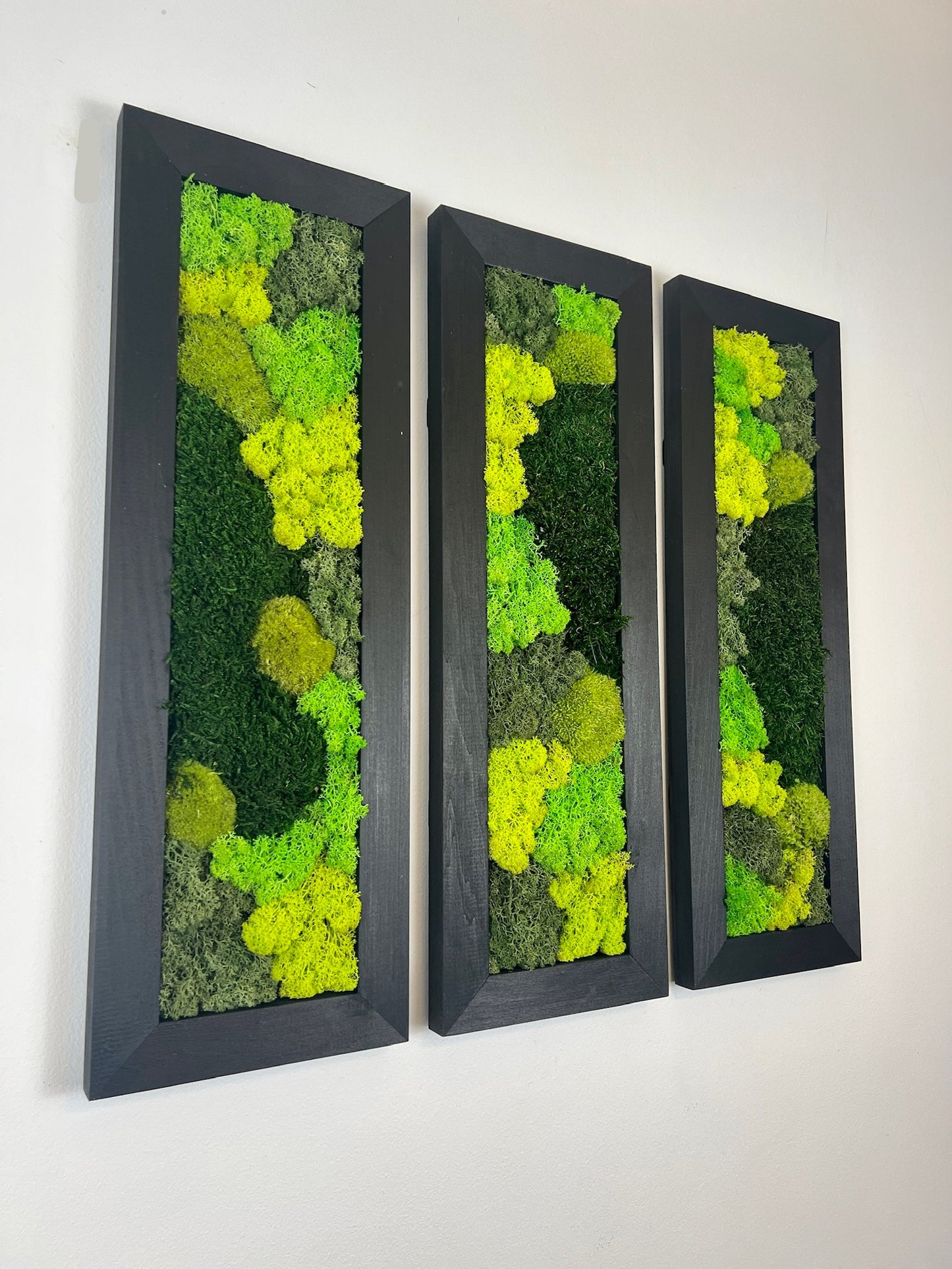 Large Rectangle Preserved Moss Decor - Shades of Green