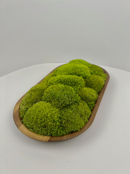 Brown Tray - Beautiful Green - Centrepiece - One of a Kind