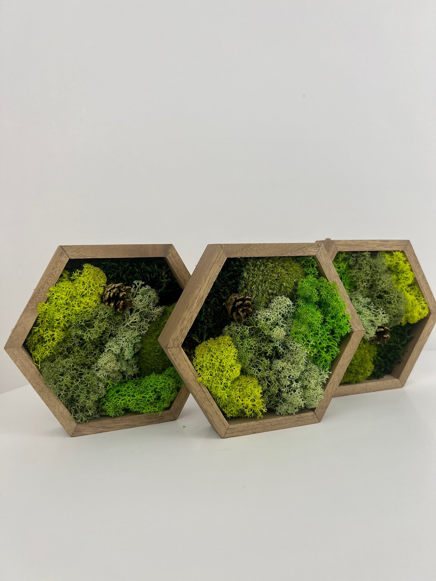 Many Shades of Green - Mini Acorn - Hexagon