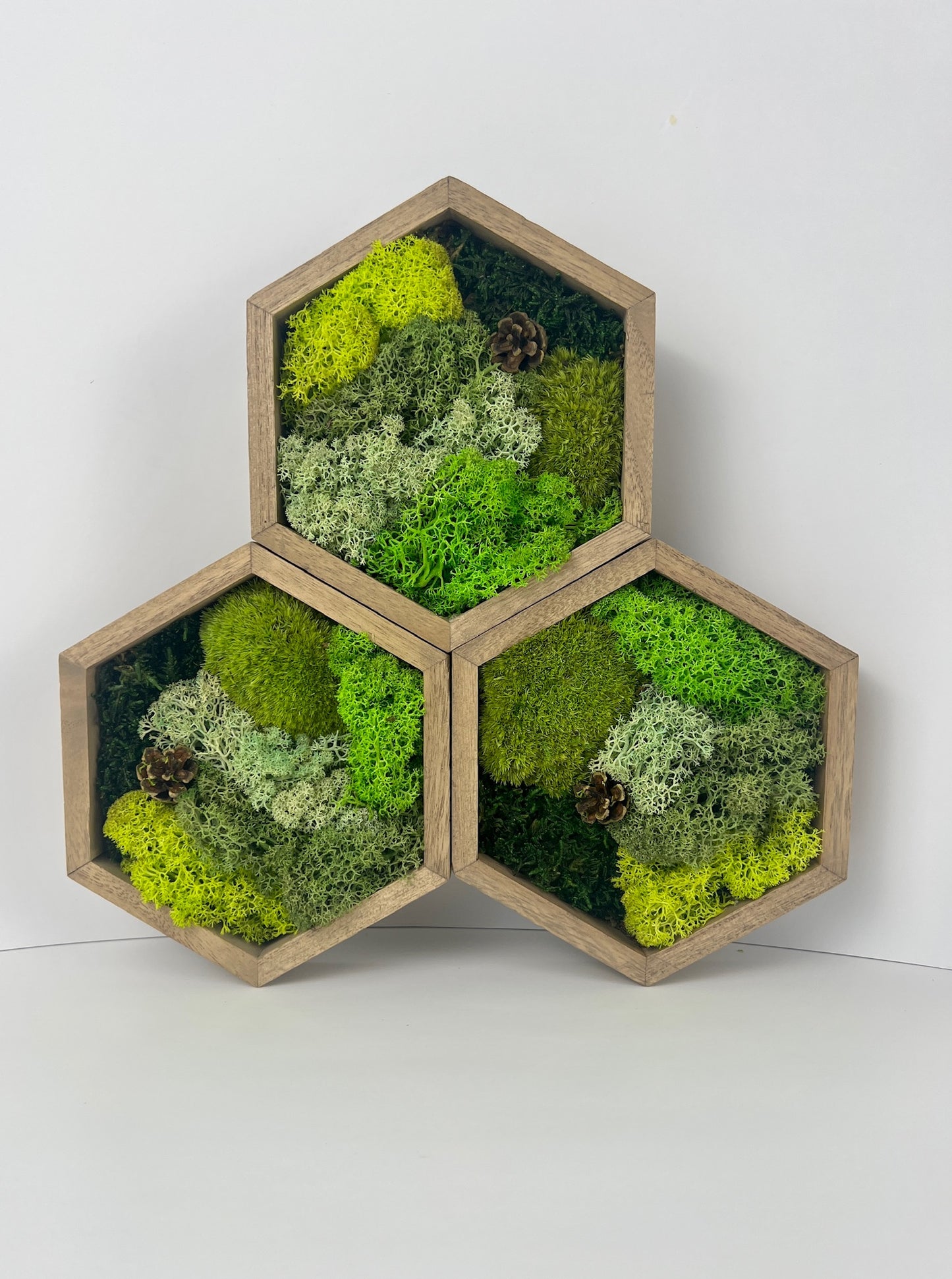 Many Shades of Green - Mini Acorn - Hexagon