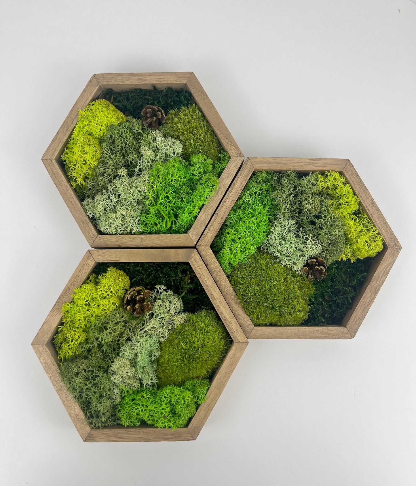 Many Shades of Green - Mini Acorn - Hexagon